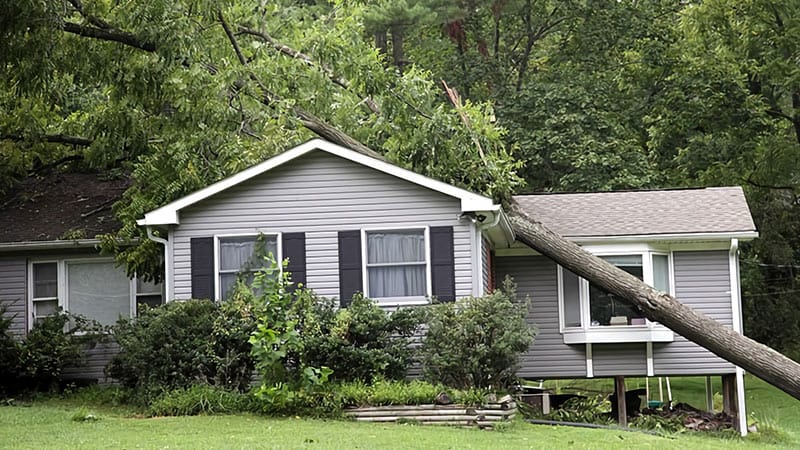 reputable storm damage roof repair company Coshocton and Newark
